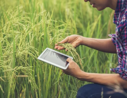 Best Agriculture Android App Development for Farmers