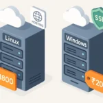 affordable web hosting India 2025