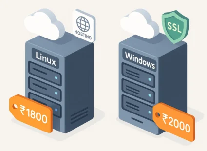 affordable web hosting India 2025