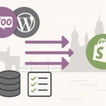 shopify migration services mumbai